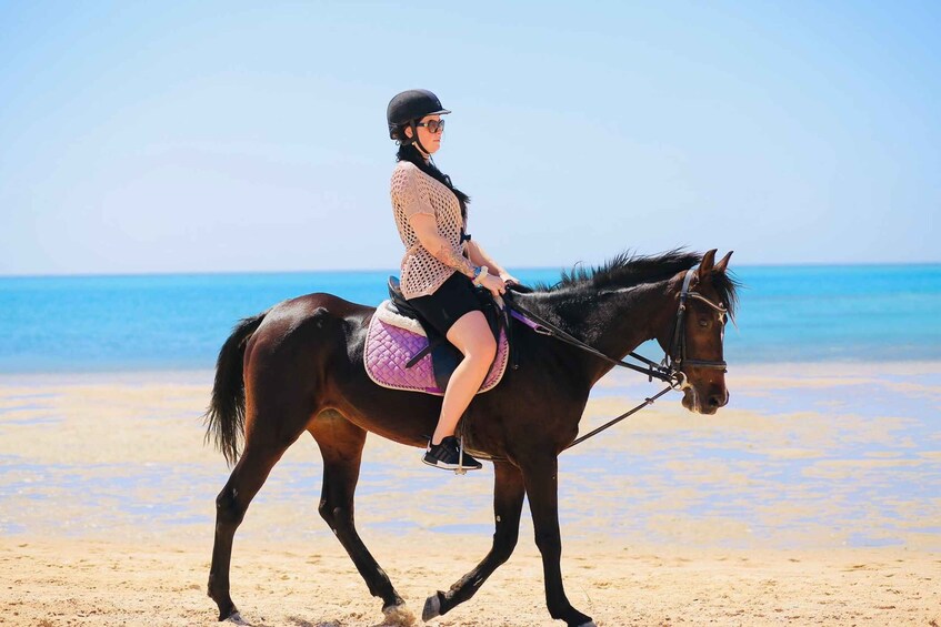 Picture 18 for Activity Sharm El Shiekh: Beach and Desert Horse Riding Tour