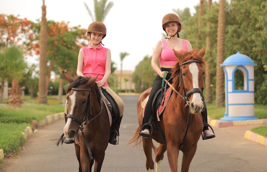 Picture 21 for Activity Sharm El shiekh Beach & Desert Horse Riding Tour