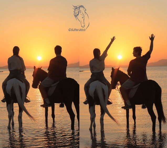 Sharm El Shiekh: Beach and Desert Horse Riding Tour