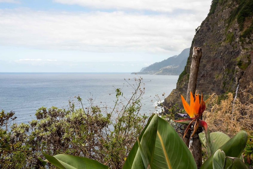 Picture 24 for Activity From Funchal: Best of Madeira's West Tour