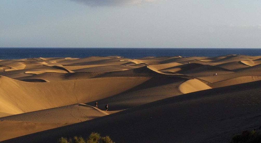 Picture 2 for Activity Maspalomas: 2-Seater E-Scooter Chopper Tour