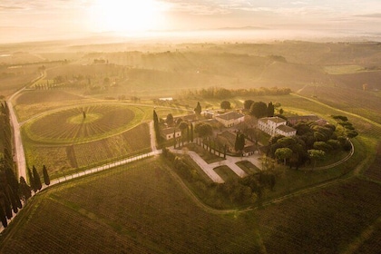 Wine tour in Tuscany in the wineries selected by Wine Spectator