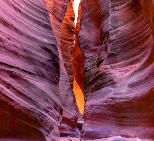 Picture 1 for Activity Orderville: East Zion Park White Mountain Horseback Tour