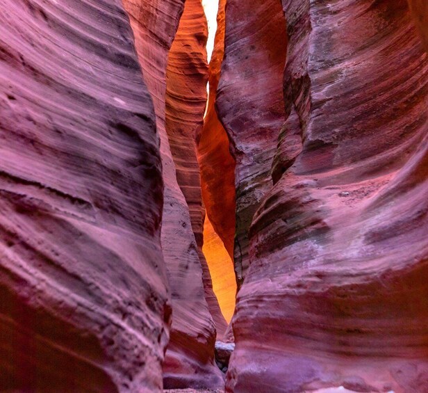 Picture 1 for Activity Orderville: East Zion Park White Mountain Horseback Tour