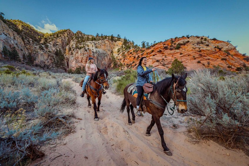 Picture 4 for Activity Orderville: East Zion Park White Mountain Horseback Tour