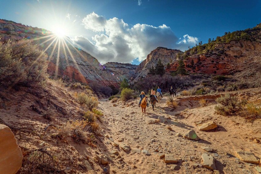 Picture 5 for Activity Orderville: East Zion Park White Mountain Horseback Tour