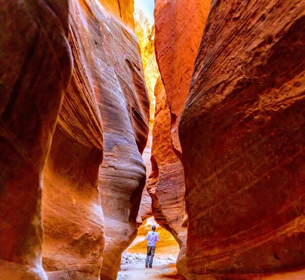 Picture 3 for Activity Orderville: East Zion Park White Mountain Horseback Tour