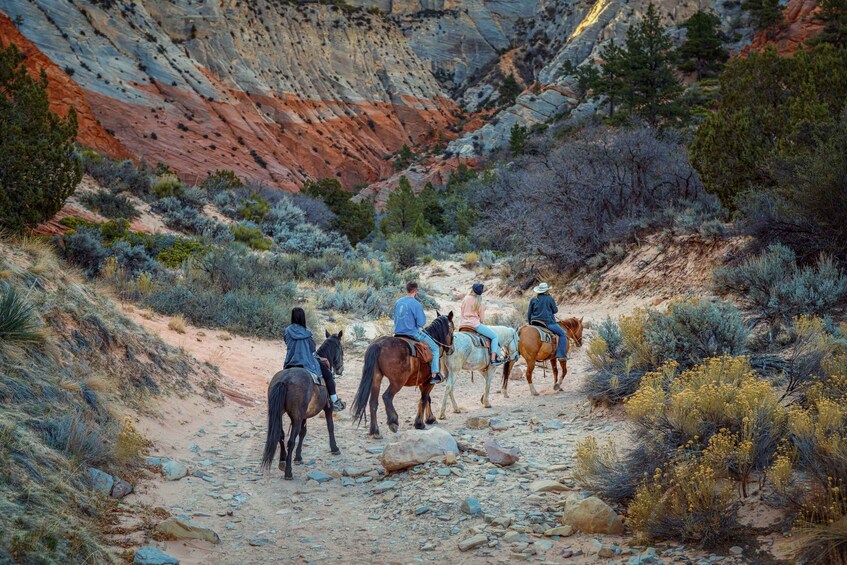 Picture 2 for Activity Orderville: East Zion Park White Mountain Horseback Tour