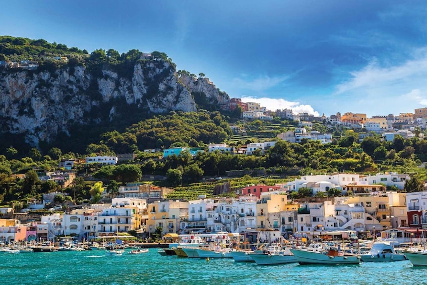 Picture 1 for Activity From Salerno: Capri and the Sirenusas Boat Tour with Lunch