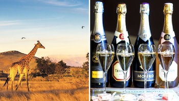 Private Wildlife Safari & Wine Tasting
