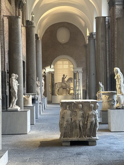 Picture 8 for Activity National Archaeological Museum of Naples Private Guided Tour