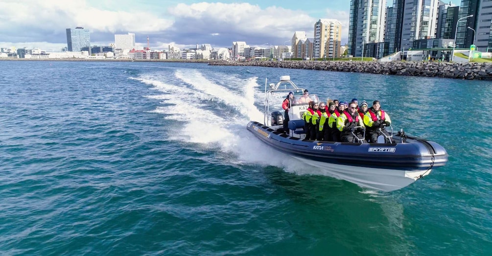 Picture 1 for Activity From Reykjavik: Whale Watching Tour by Speedboat