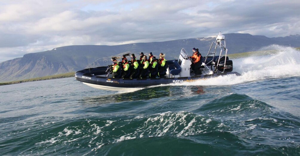 Picture 6 for Activity From Reykjavik: Whale Watching Tour by Speedboat