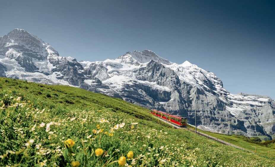 Picture 6 for Activity From Lausanne/Geneva: Interlaken Alps Mountain Tour
