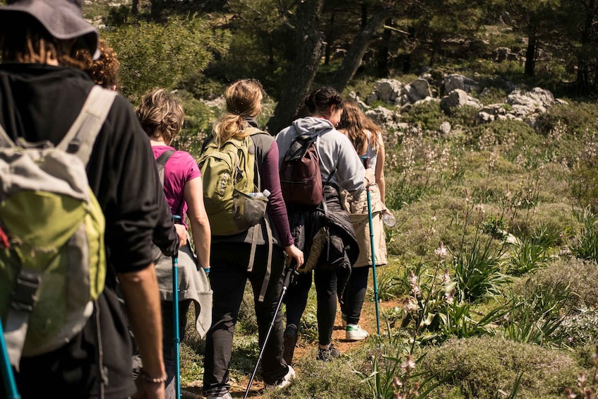 Picture 6 for Activity Rhodes: Hiking Tour to the Summit of Akramitis with Photos