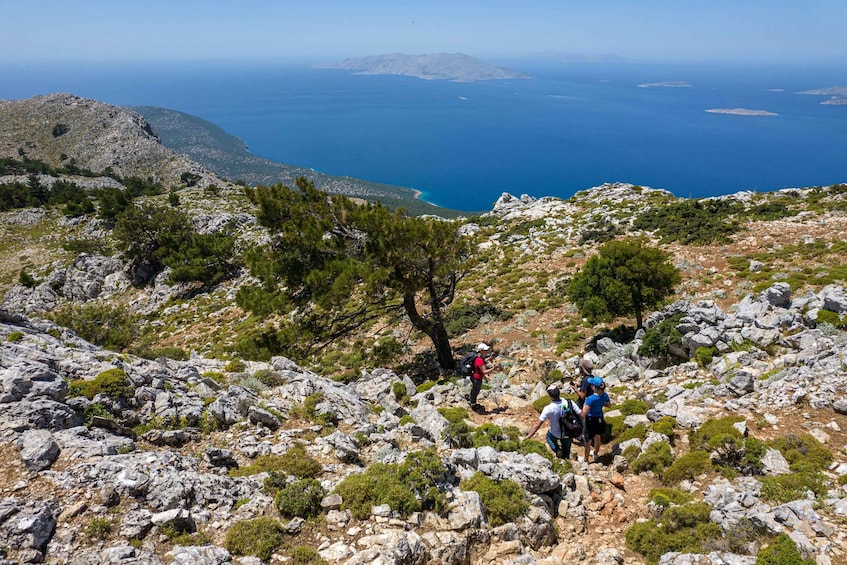 Picture 14 for Activity Rhodes: Hiking Tour to the Summit of Akramitis with Photos