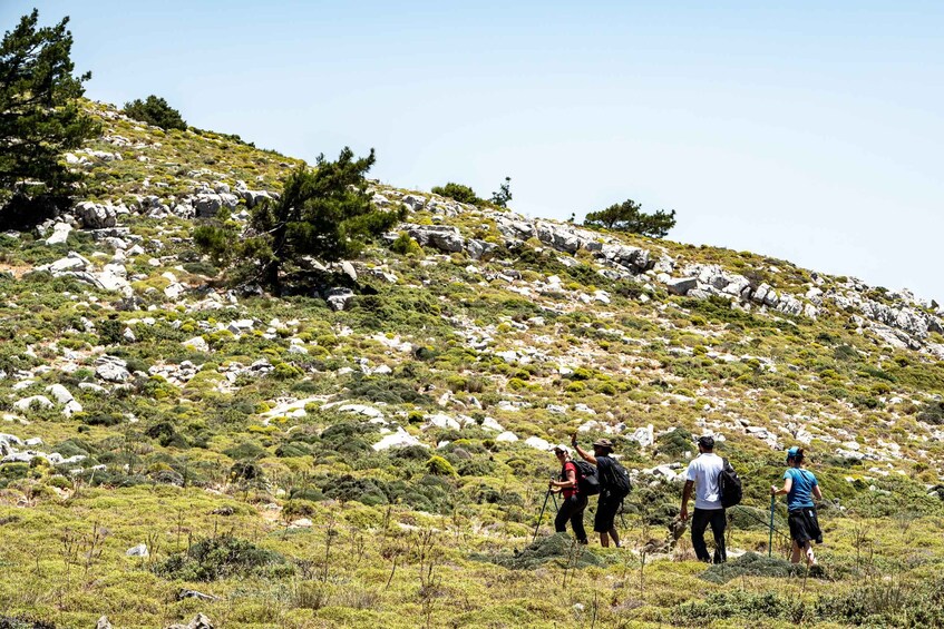 Picture 18 for Activity Rhodes: Hiking Tour to the Summit of Akramitis with Photos