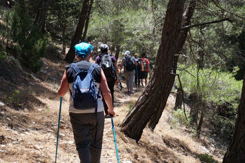 Picture 7 for Activity Rhodes: Hiking Tour to the Summit of Akramitis with Photos