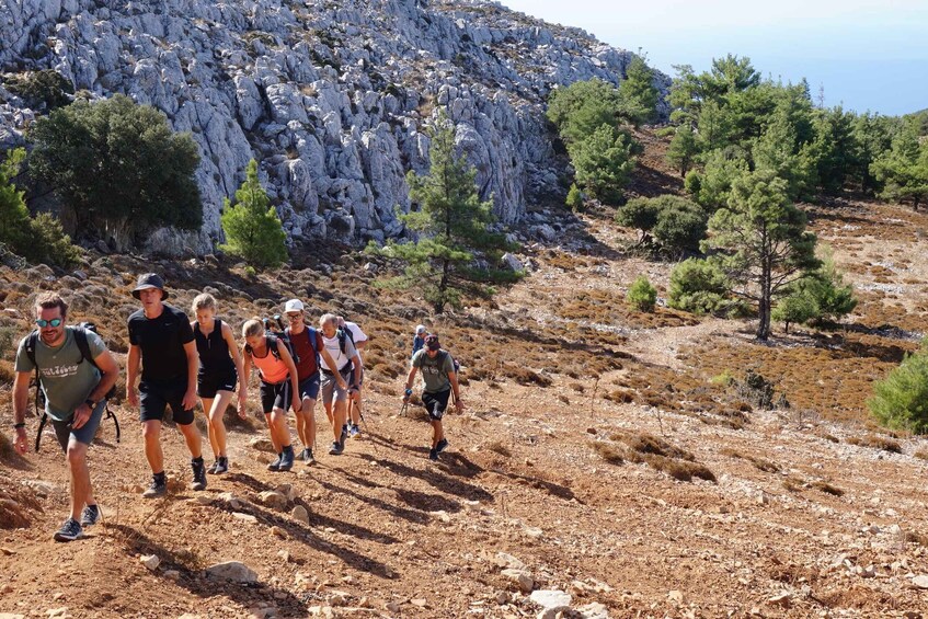 Picture 11 for Activity Rhodes: Hiking Tour to the Summit of Akramitis with Photos