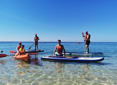 塞辛布拉：站立式桨板海湾之旅