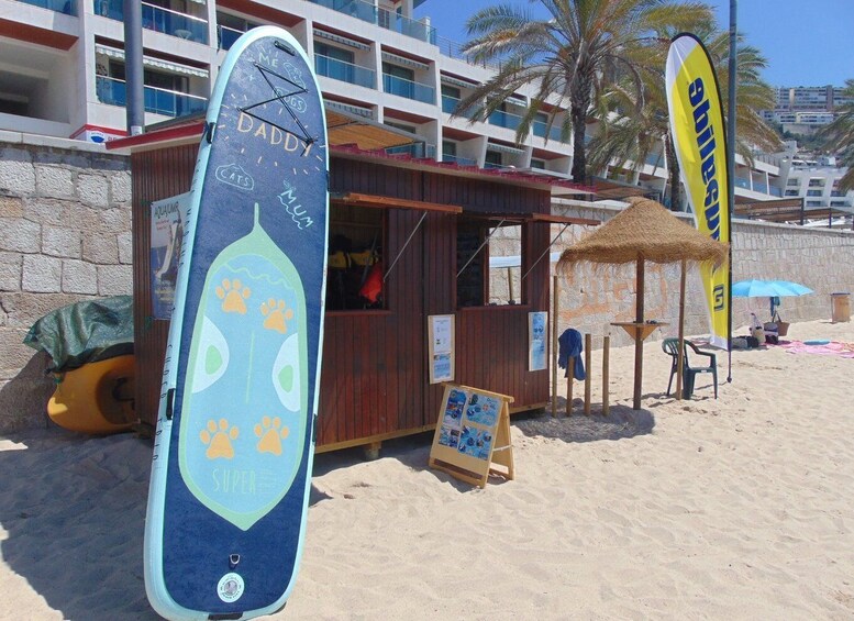 Picture 4 for Activity Sesimbra: Stand Up Paddle Board Bay Tour