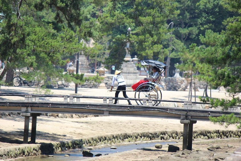 Picture 8 for Activity Miyajima: Private Rickshaw Tour to Itsukushima Shrine
