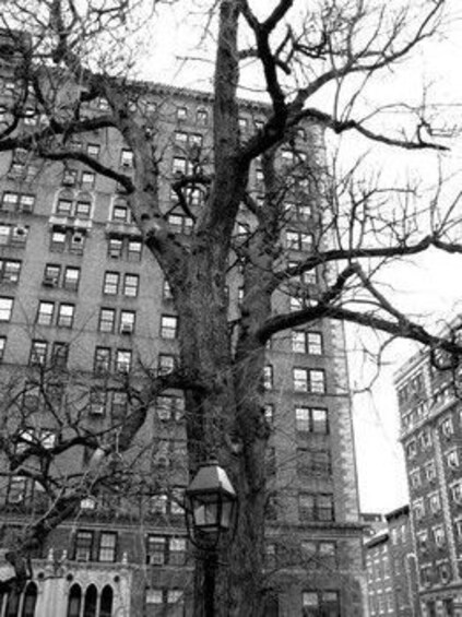 ghost walk new york city