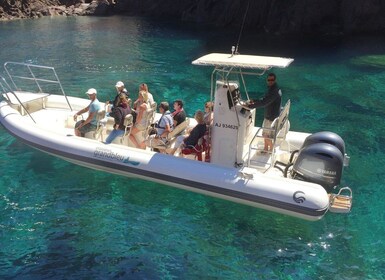 From Cargèse: Scandola Day Tour & Girolata Lunch Stop