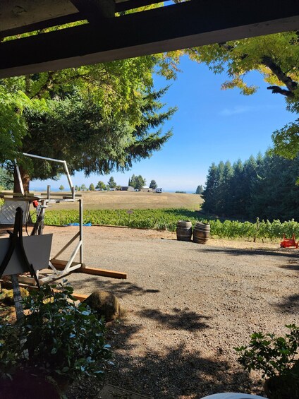 Picture 9 for Activity From Portland: Willamette Valley Full-Day Wine Tour