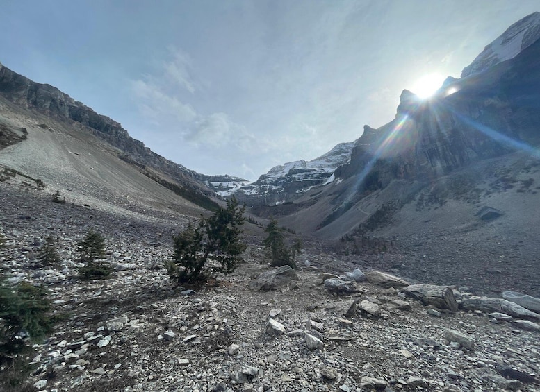 Picture 3 for Activity Kootenay National Park: Stanley Glacier Valley Tour