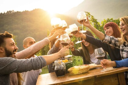 Au départ de Sirmione : visite des vignobles de Lugana