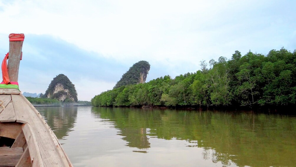Stunning view on the Mangrove Boat Tour in Krabi