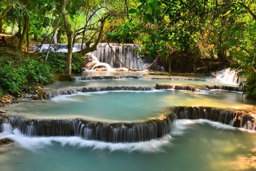 Picture 4 for Activity Luang Prabang: Bamboo Experience & Kuang Si Falls Tour