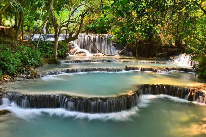 Picture 4 for Activity Luang Prabang: Bamboo Experience & Kuang Si Falls Tour