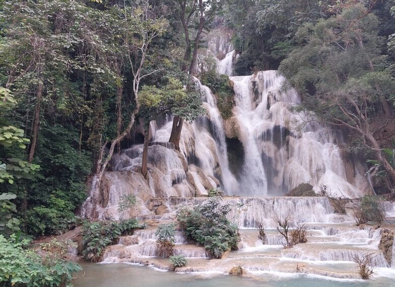 Picture 5 for Activity Luang Prabang: Bamboo Experience & Kuang Si Falls Tour