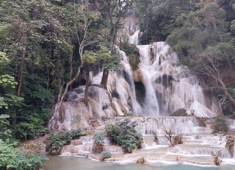 Picture 5 for Activity Luang Prabang: Bamboo Experience & Kuang Si Falls Tour