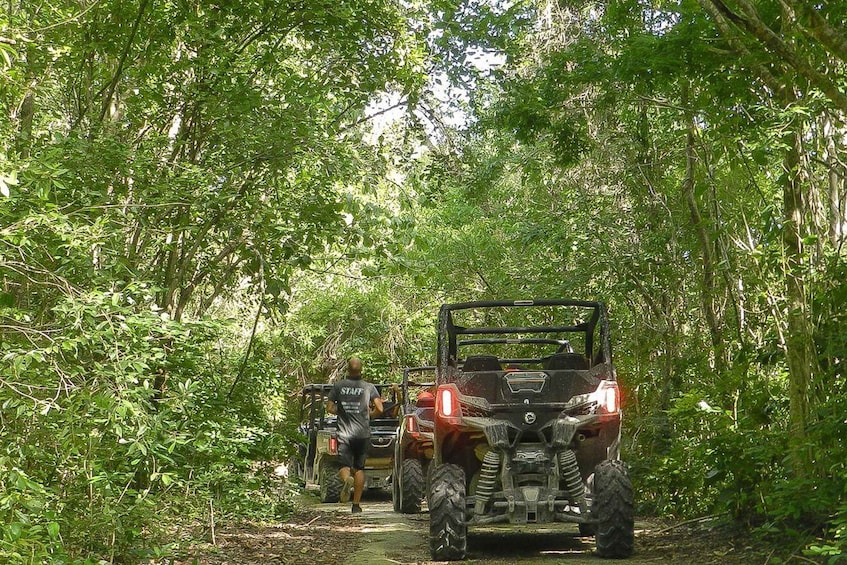 Picture 7 for Activity Playa Del Carmen: Cenote & Mayan Village Tour by Buggy