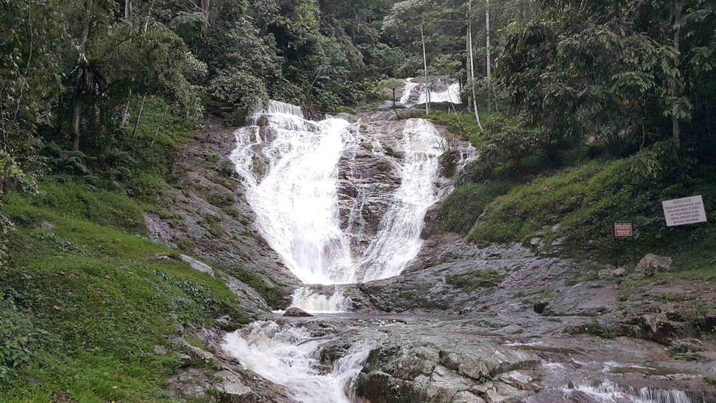 Picture 5 for Activity From Kuala Lumpur: Cameron Highlands Full-Day Tour