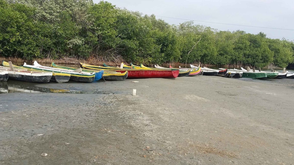 Picture 1 for Activity Mangroves, cultural fishing, black heritage town and lunch