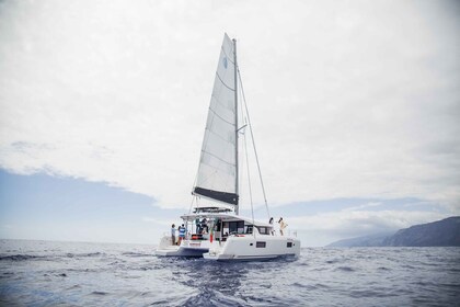 Funchal Bay: Dolphin & Whale Watch Luxury Catamaran Cruise