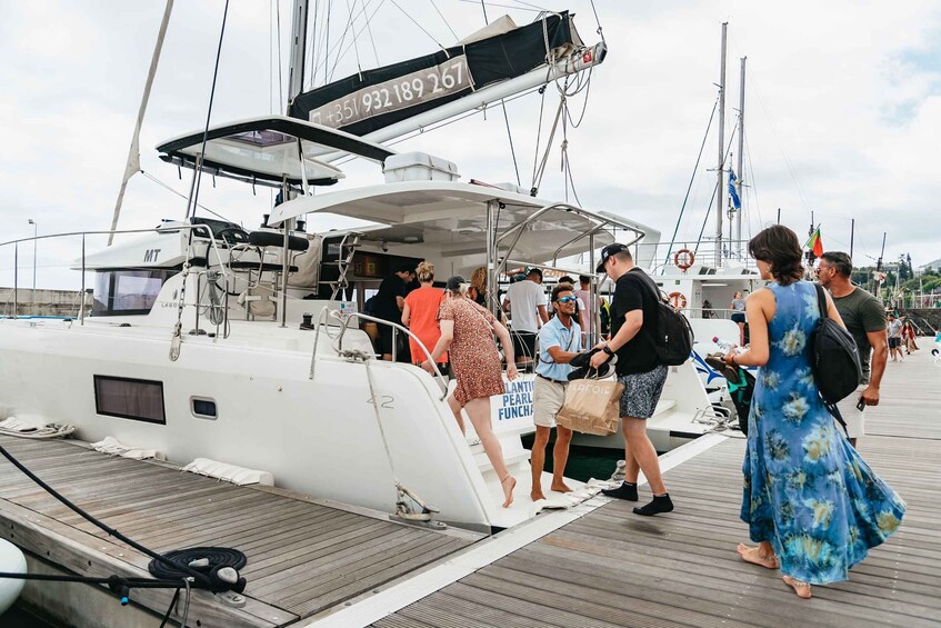 Picture 2 for Activity Funchal Bay: Dolphin & Whale Watch Luxury Catamaran Cruise