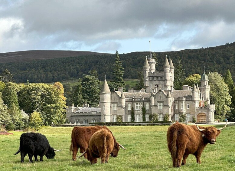 From Aberdeen: Balmoral Estate & Royal Deeside Tour