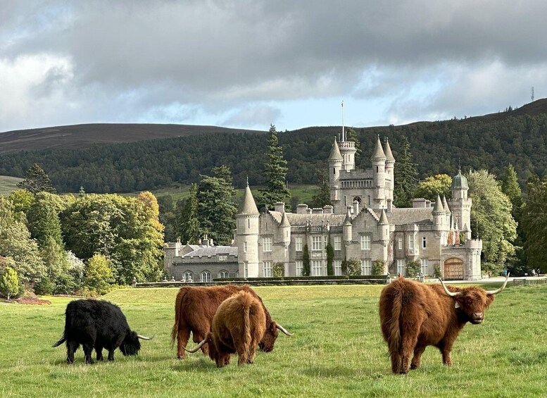 From Aberdeen: Balmoral Estate & Royal Deeside Tour