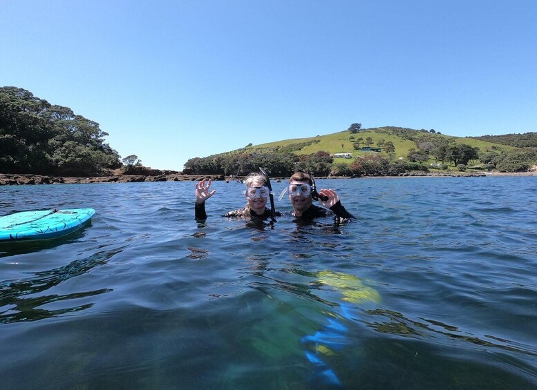 Picture 1 for Activity Leigh: Goat Island Guided Snorkeling Tour for Beginners