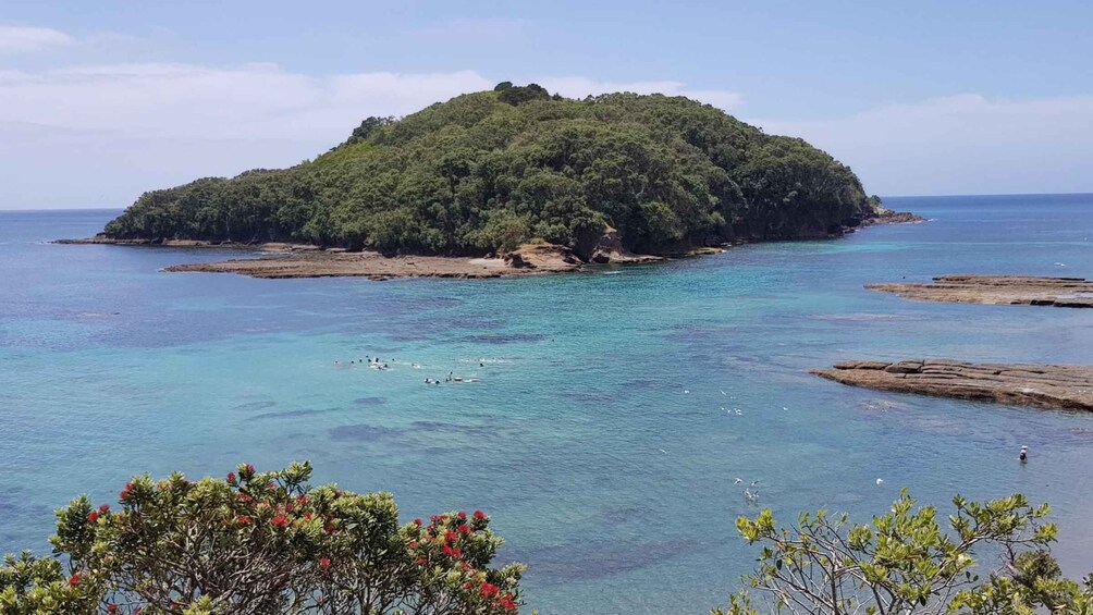 Picture 1 for Activity Leigh: Goat Island Guided Snorkeling Tour for Beginners