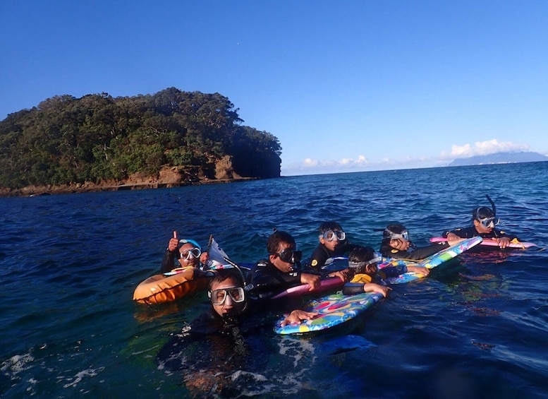 Picture 4 for Activity Leigh: Goat Island Guided Snorkeling Tour for Beginners