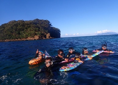 Leigh: Tour guidato di snorkeling sull'Isola delle Capre per principianti