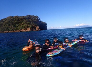 Leigh: Excursión guiada de snorkel en la Isla de la Cabra para principiante...