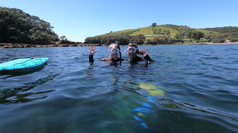 Picture 1 for Activity Leigh: Goat Island Guided Snorkeling Tour for Beginners