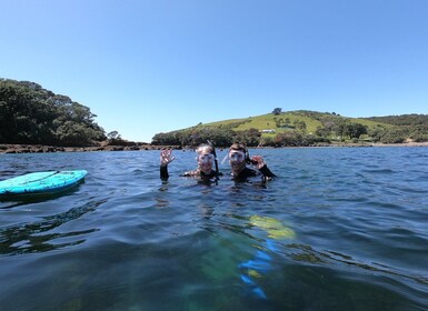 Goat Island Guided Snorkeling Tour for Beginners